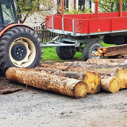 Schritt-für-Schritt zum Möbelstück. Bilder aus der Werkstatt.
